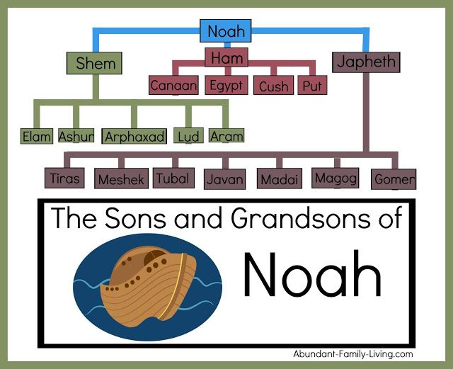 noah and sons